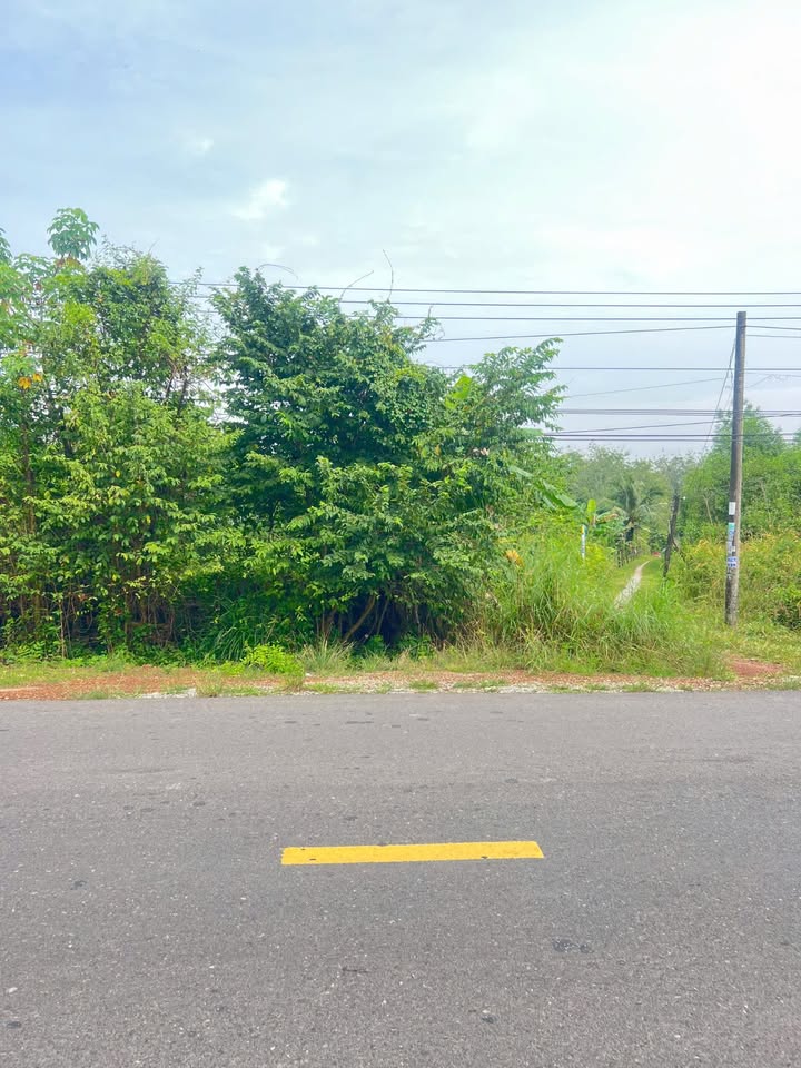 Đất nền mặt tiền ĐT 748, Long Nguyên, Bàu Bàng 1000m² - Giá chỉ 3.9 tỷ!