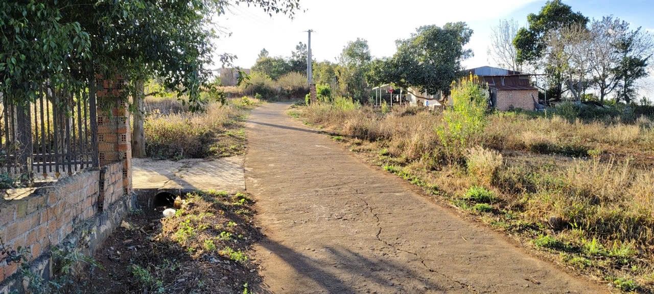 Đất nền An Phú, Pleiku 480m² chỉ 500 triệu - Cơ hội đầu tư tuyệt vời!