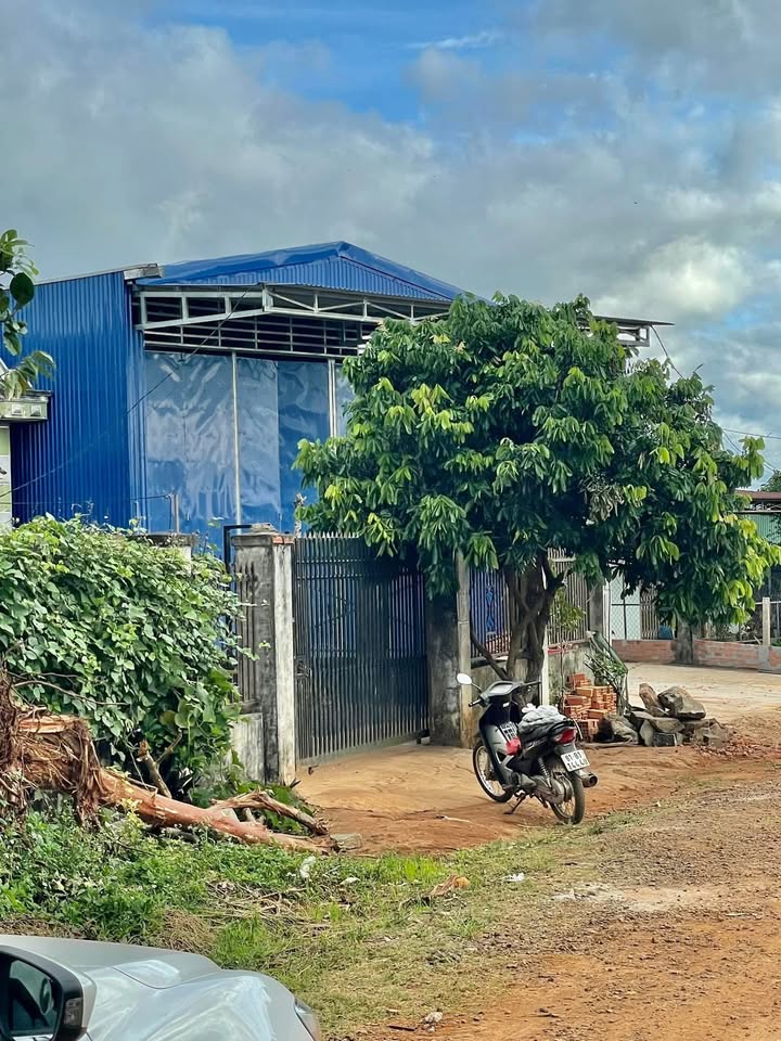 Kho bãi cho thuê Hẻm 220 Lê Duẩn 360m² - Tiện ích hoàn hảo cho kinh doanh