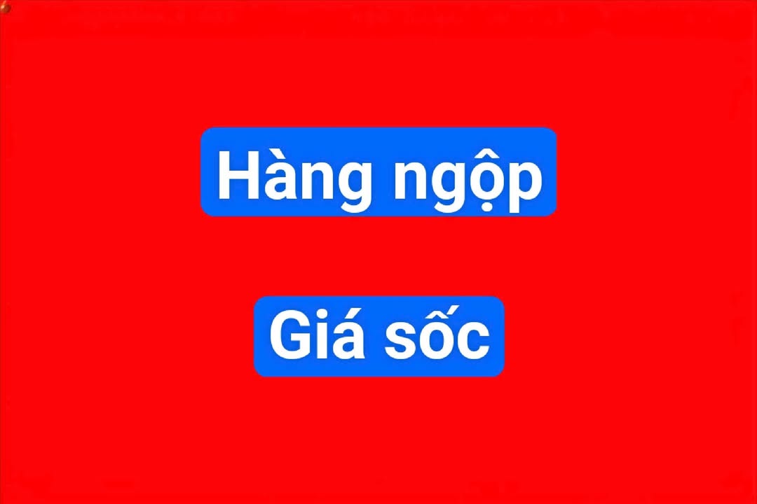 Đất nền Nam Phú Tiền Hải 110m² giá chỉ 2xxx - Cơ hội đầu tư hấp dẫn!