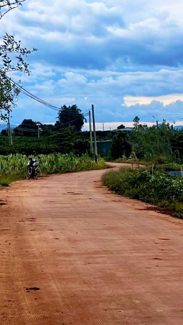 Đất nền Tân Hội, Đức Trọng, 185m² giá chỉ 540 triệu - Đầu tư sinh lời ngay hôm nay!