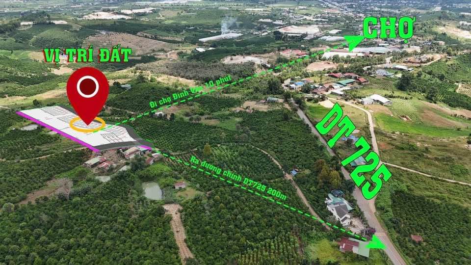 Đất thổ cư 100m² Tân Văn, Lâm Hà giá 1.65 tỷ - Đầu tư sinh lời ngay!