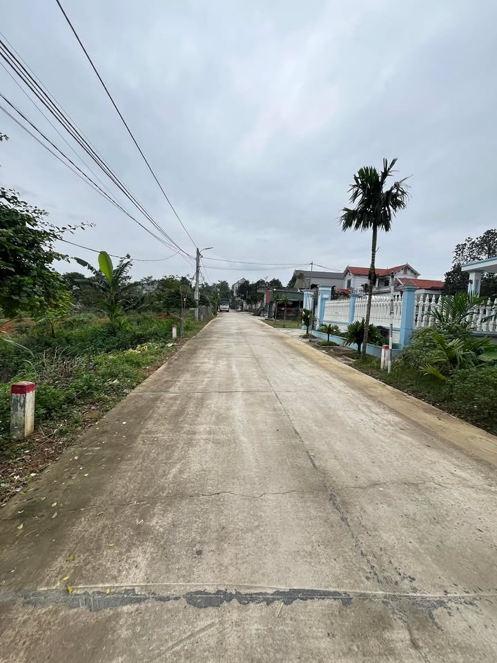 Đất nền Xã Xích Thổ, Huyện Nho Quan, 125m² - Đầu tư sinh lời ngay hôm nay!