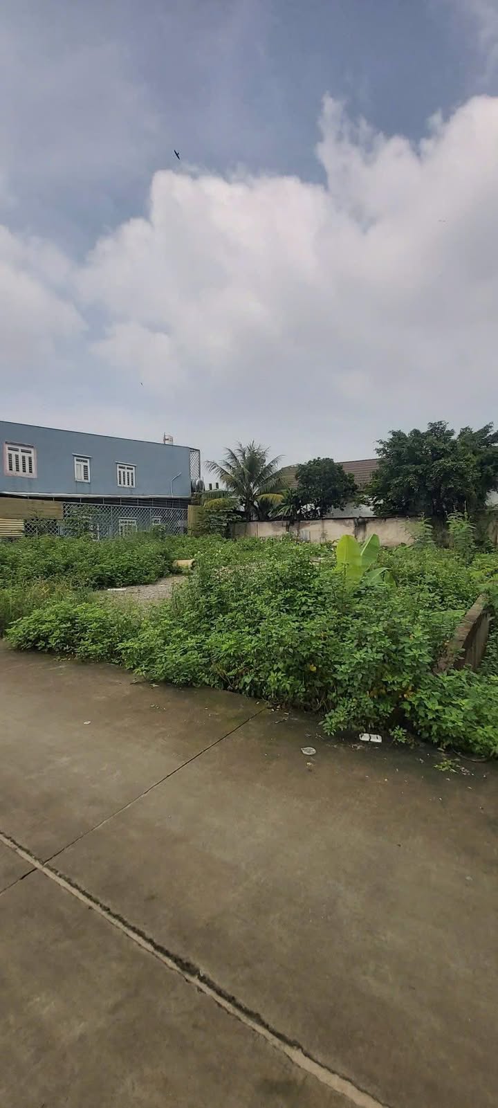 Đất thổ cư 140m² đường Vĩnh Lộc, Bình Chánh giá 3.95 tỷ - Cơ hội đầu tư hấp dẫn!