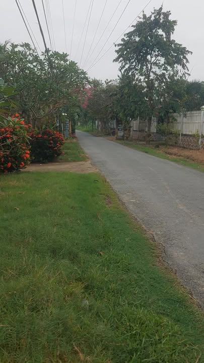 Đất nền An Hiệp, Ba Tri 1545m² giá 1.45 tỷ - Cơ hội đầu tư hấp dẫn!