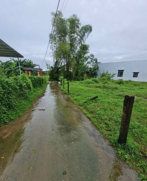 Đất nền Bình Phước, Bình Sơn 515m² giá 350 triệu - Đường ô tô vào tận nơi!