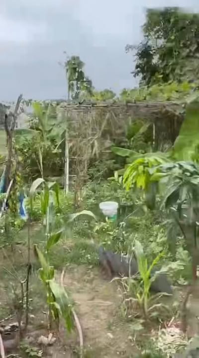 Đất thổ cư Đức Hòa Thượng 1080m² giá 4.6 tỷ - Sổ hồng chính chủ