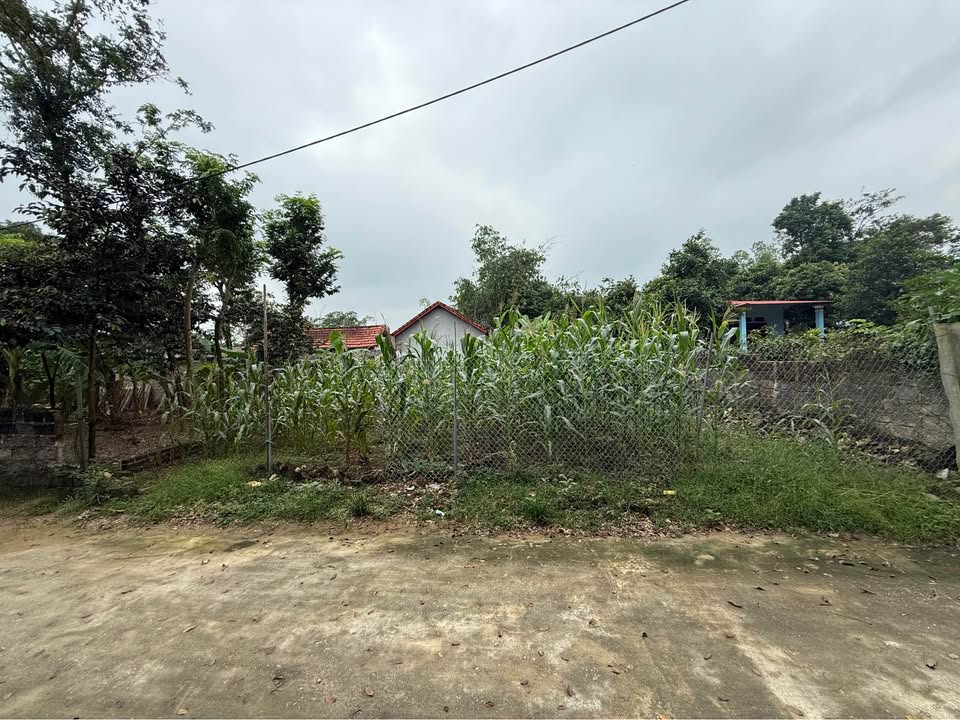 Đất nền Đại Đình Tam Đảo 100m² giá chỉ 600 triệu - Cơ hội đầu tư tuyệt vời!