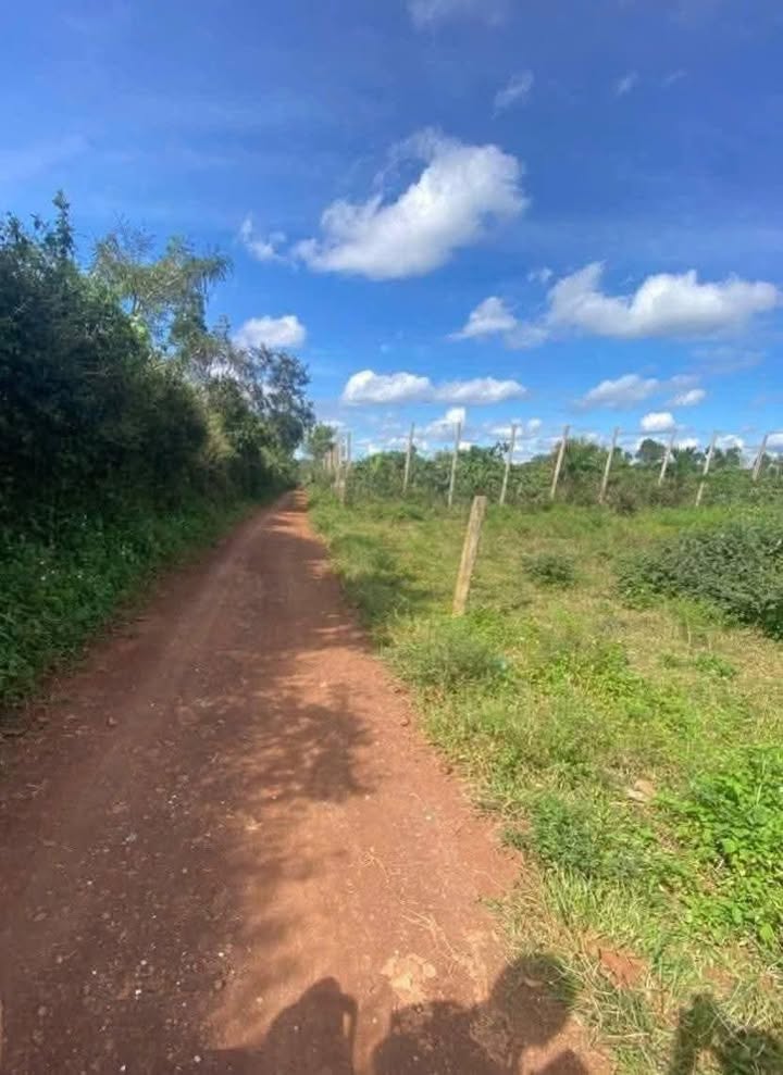 Đất thổ cư 600m² thôn 10 Pơng Drang - Giá chỉ 615 triệu, sổ đỏ chính chủ!