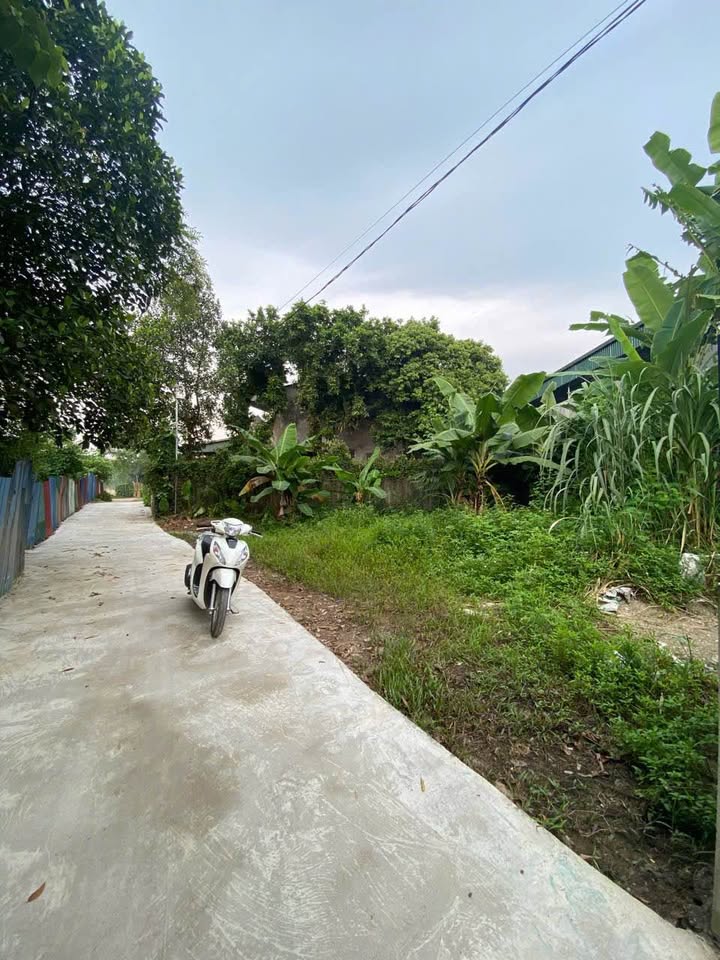 Đất thổ cư Quan Triều 155m² mặt tiền 16m - Giá chỉ 6xx triệu!