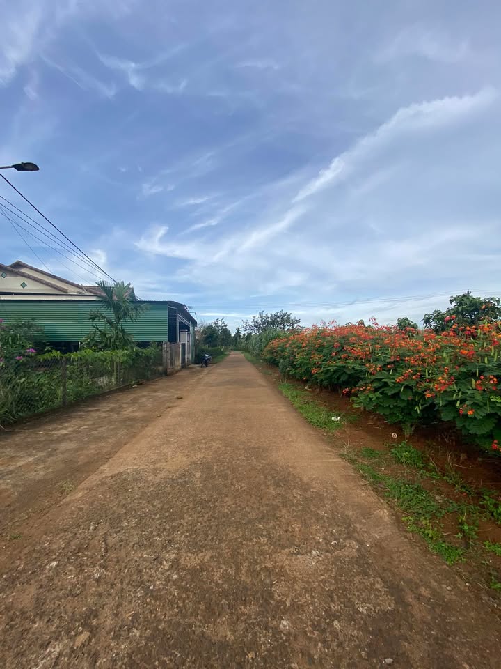 Đất nền Thuận An 800m² giá 8.694 tỷ - Đường bê tông thông thoáng!