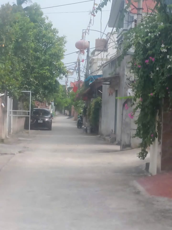 Đất nền Chương Dương Thường Tín 127m² giá chỉ 5x triệu - Cơ hội đầu tư sinh lời!