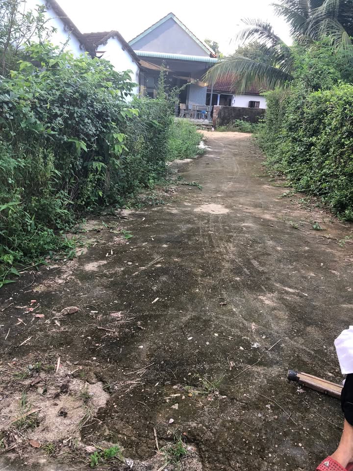 Đất thổ cư 300m² tại Thôn Trường Định 2, Bình Hòa - Giá chỉ 300 triệu VND!