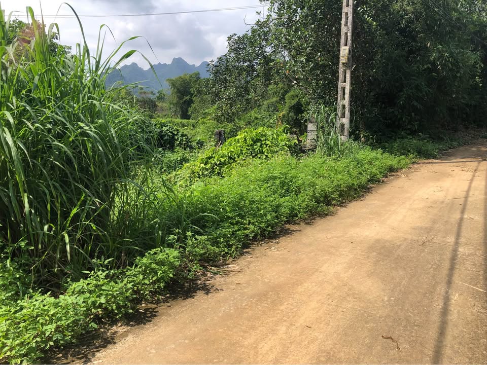 Đất nền Vĩnh Tiến Kim Bôi 328m² giá 500 triệu - Sổ hồng chính chủ, vị trí đẹp!