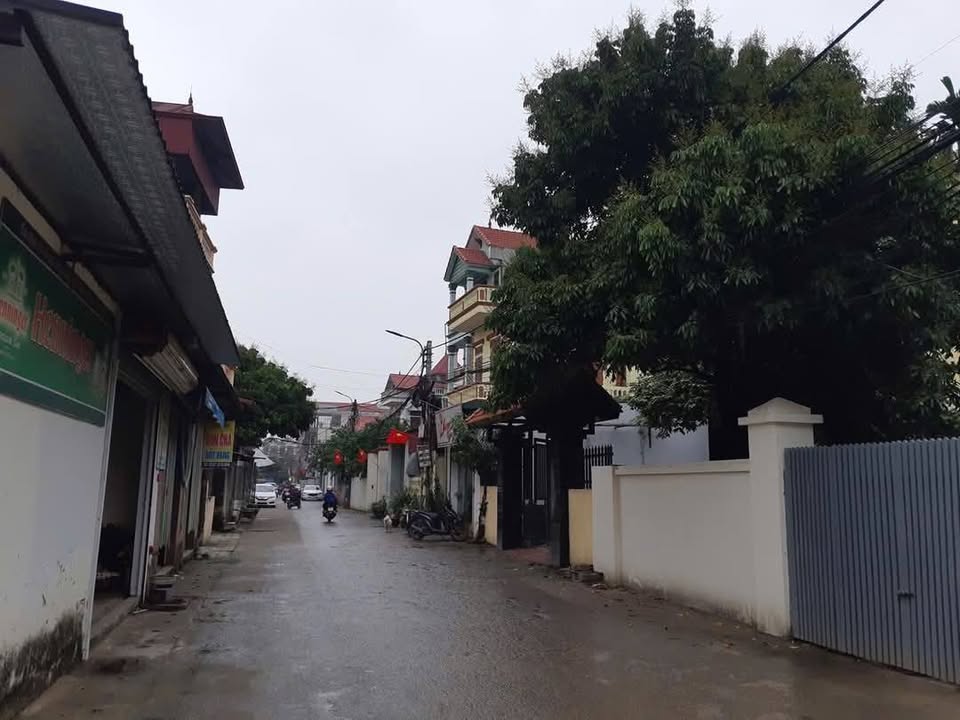 Đất thổ cư 42.1m² tại thôn Đại Độ, Đông Anh - Giá chỉ 300 triệu, ô tô vào tận nơi!