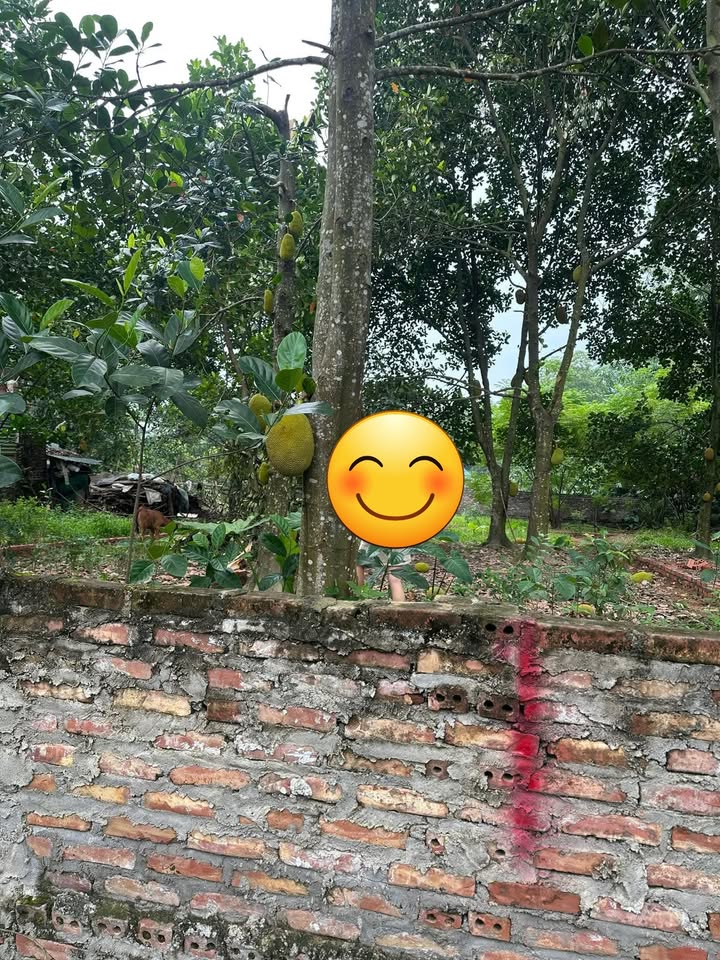 Đất nền Kim Đức Việt Trì 87m² giá thỏa thuận - Vị trí thuận lợi, pháp lý rõ ràng!