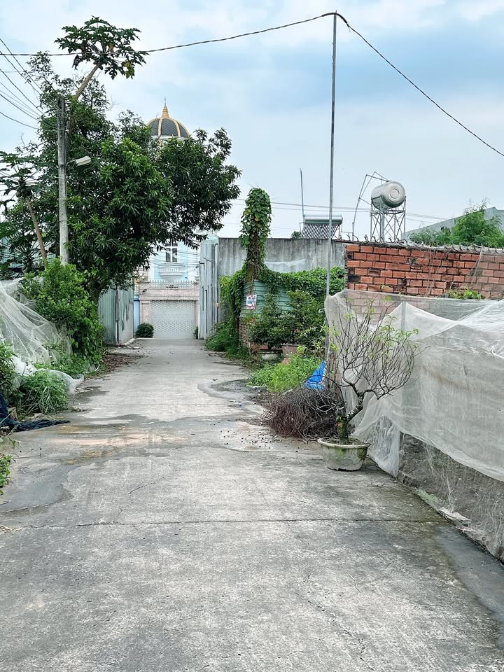 Đất thổ cư 125m² khu phố 6 Biên Hòa - Giá chỉ 1.62 tỷ - Sổ đỏ chính chủ!