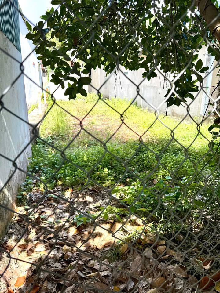 Đất thổ cư 116m² phường Đông Thành, 900 triệu - Cơ hội đầu tư tuyệt vời!