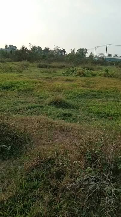 Đất mặt tiền hẻm 873 Long Phước 15.938m² giá 85 tỷ - Cơ hội đầu tư tốt!