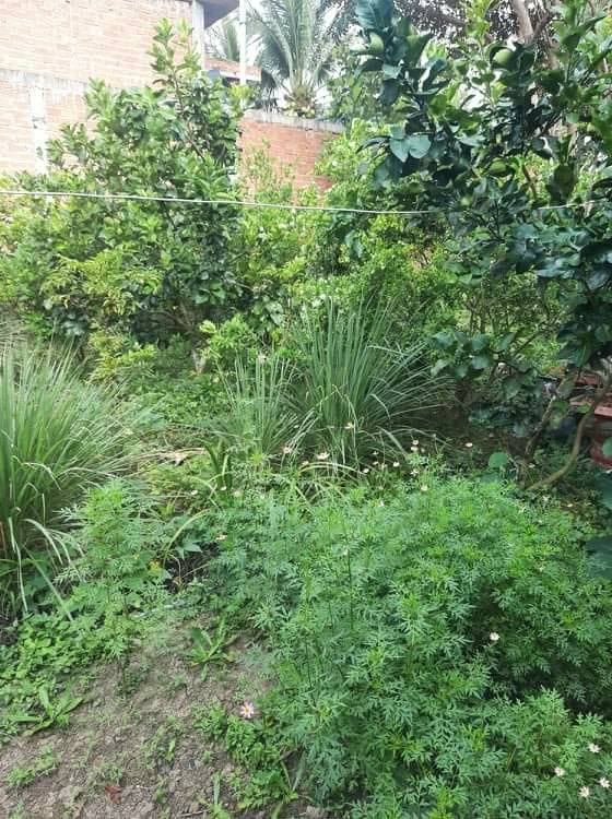 Đất thổ cư 210m² tại ấp Tây B, xã Đông Hòa, giá 1.092 tỷ - Cơ hội tuyệt vời cho đầu tư!