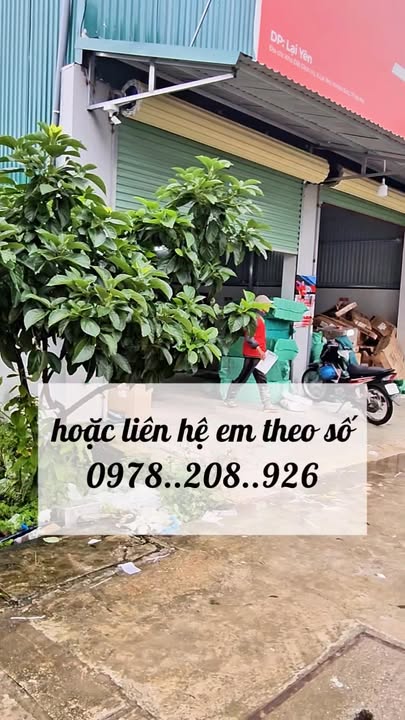 Đất nền Lại Yên 150m² giá thỏa thuận - Hướng Tây Nam, ô tô đỗ cửa!