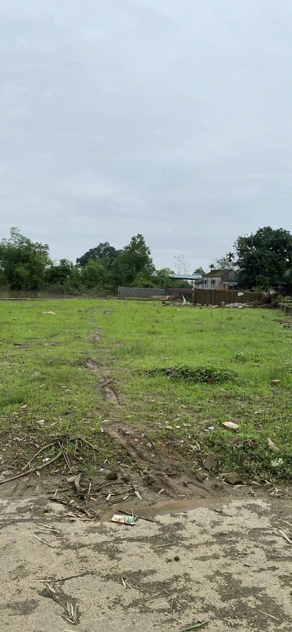 Đất thổ cư Phú Cát Quốc Oai 1304m² giá chỉ 10 triệu/m² - Cơ hội đầu tư tuyệt vời!