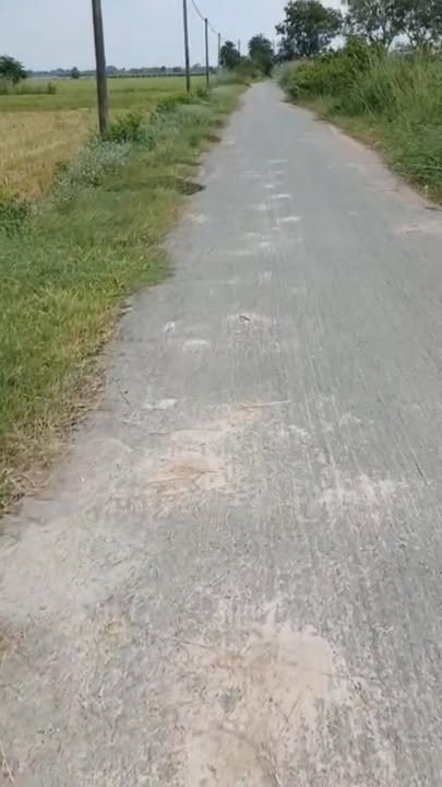 Đất vườn Thái Mỹ Củ Chi 2571m² giá 1.3 tỷ - Cơ hội đầu tư hấp dẫn!