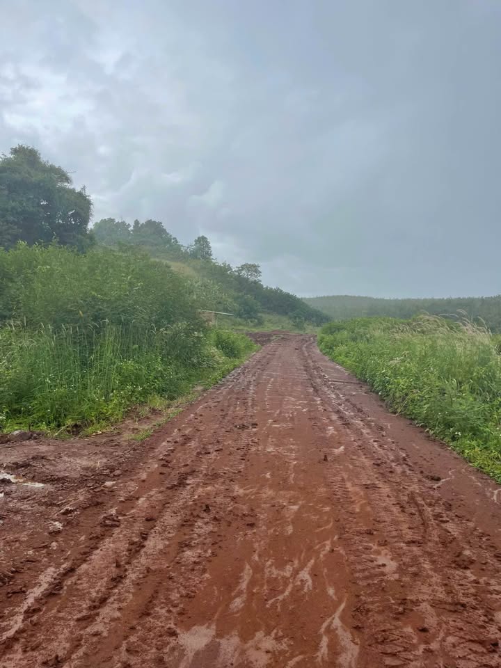 Đất nông nghiệp 2 sào hẻm Hà Huy Tập, Tân Lợi, Buôn Ma Thuột - Giá 9.7 tỷ, vị trí tiềm năng!