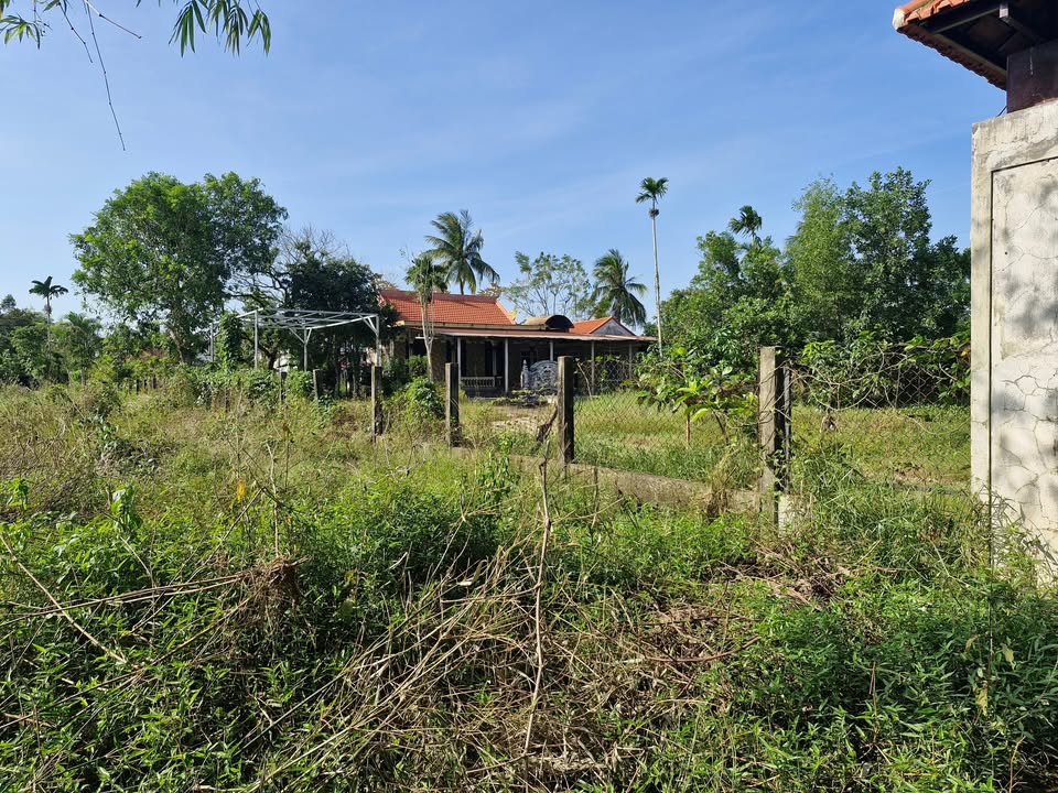 Đất Thủy Phù Hương Thủy 134m² giá 595 triệu - Khu dân cư hiện hữu thuận lợi!