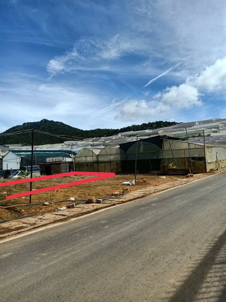Đất nền Thái Phiên Đà Lạt 120m² giá 1.5 tỷ - Đầu tư sinh lời lý tưởng!