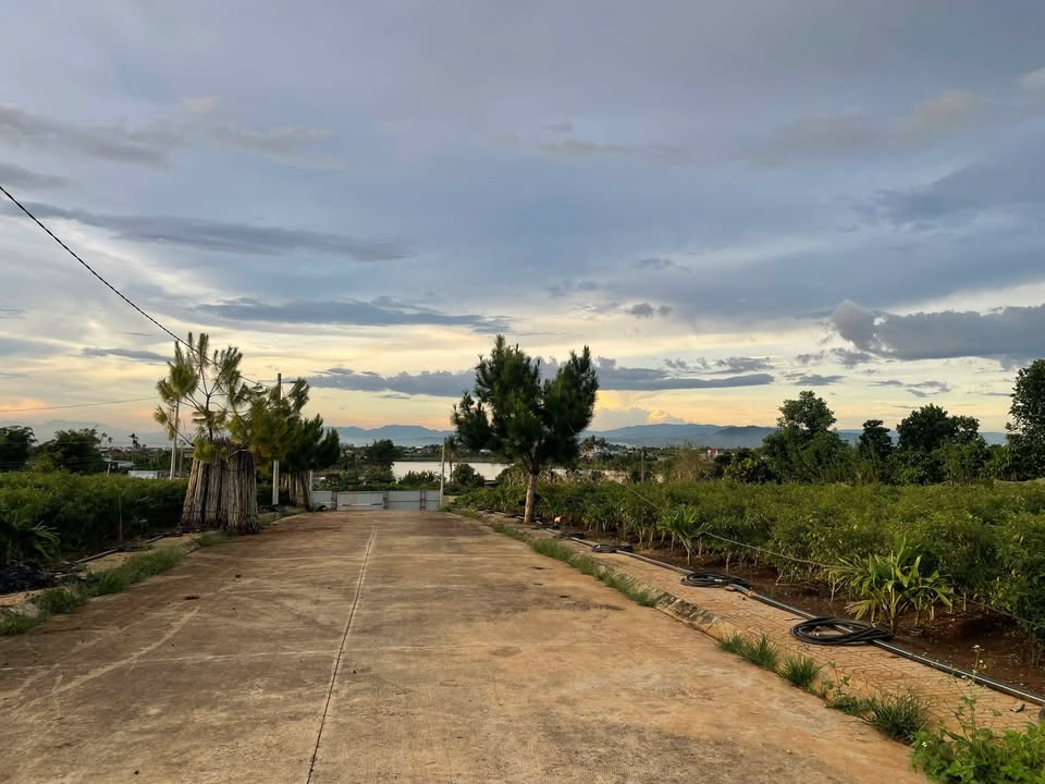 Đất nền Tân Hội, Đức Trọng 208m² giá 1.6 tỷ - Sổ riêng, view thoáng mát!