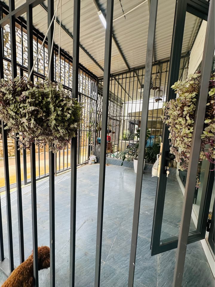 Nhà đẹp đường An Sơn, Đà Lạt 80m² giá 2.05 tỷ - Không thể bỏ lỡ!