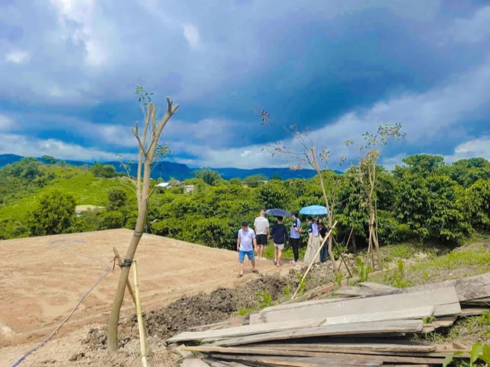 Đất nền Làng Mai Xanh Liên Hà 1000m² giá chỉ 1 tỷ - Cơ hội đầu tư bền vững!