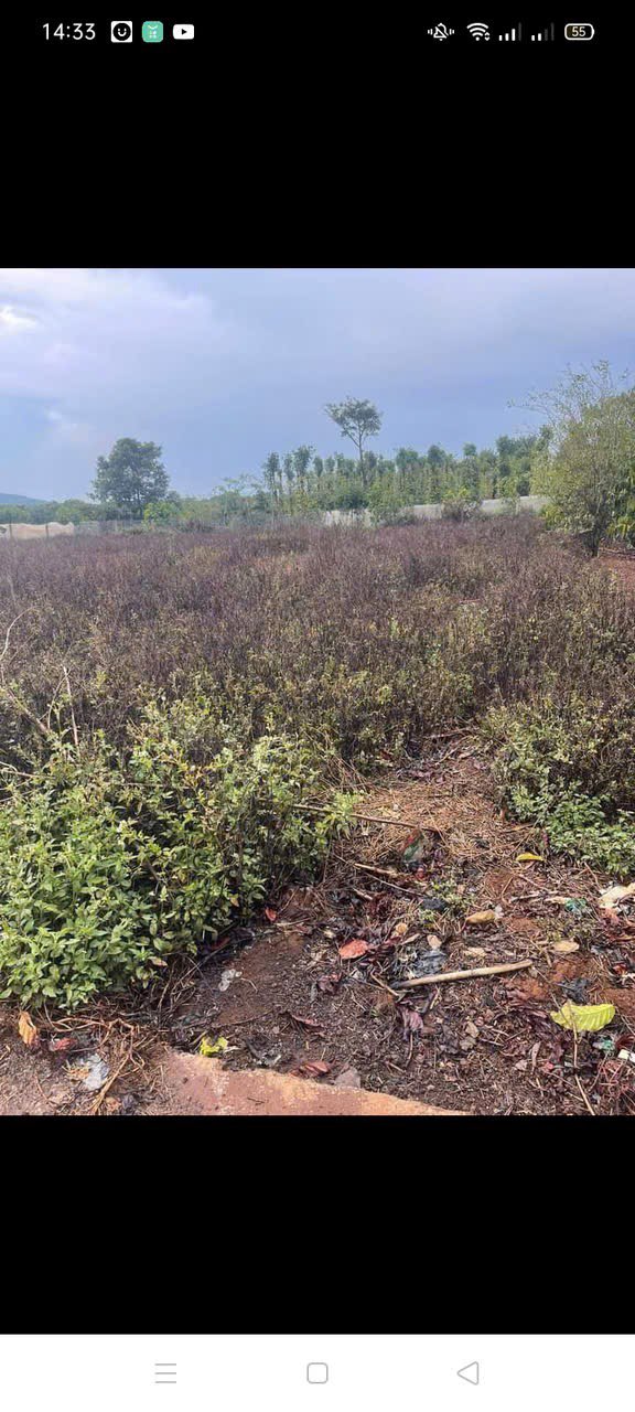 Đất nền Đông Thanh Lâm Hà 507m² giá 2 tỷ - Tiềm năng phát triển lớn!