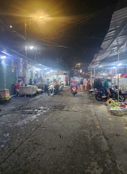 Nhà cấp 4 hẻm xe tải Nguyễn Hữu Tiến, Tân Phú 386m² - Sổ hồng vuông vức, xây mới dễ dàng!