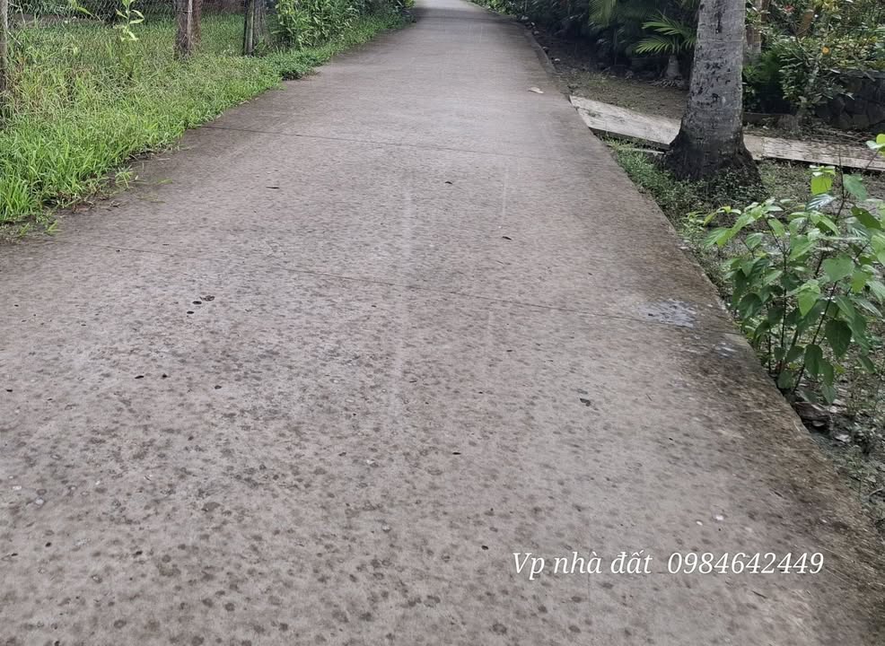 Đất thổ cư Phước Mỹ Trung 3300m² giá 2.9 tỷ - Thương lượng linh hoạt!