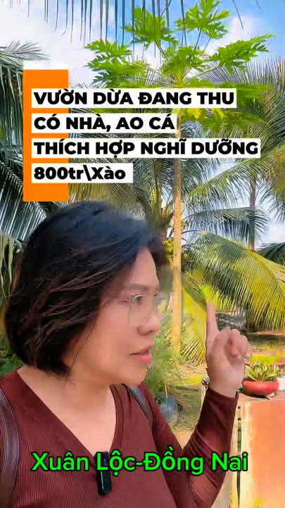 Đất vườn dừa xiêm lùn 14.299,2m² giá 6.48 tỷ - Gần cao tốc Xuân Lộc