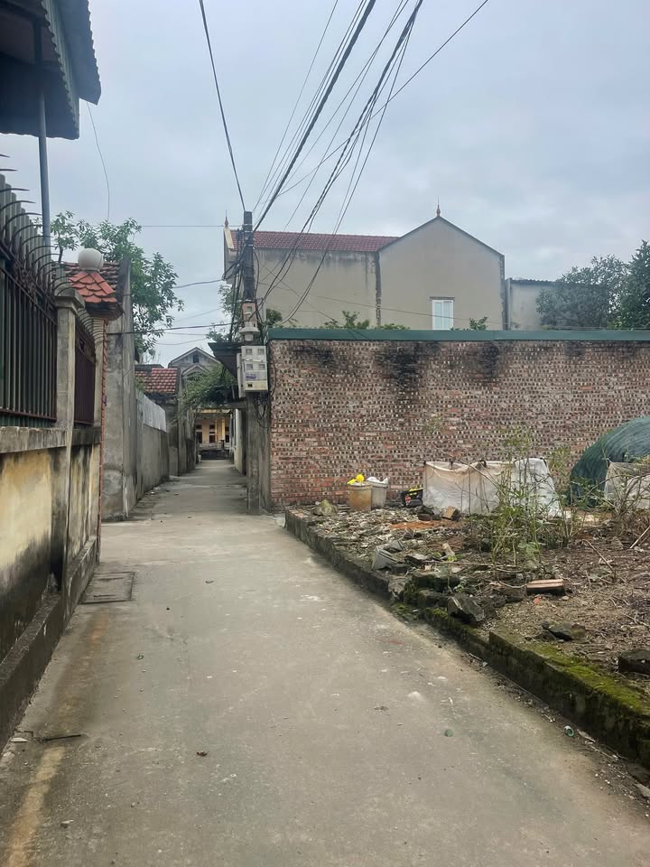 Đất nền đẹp tại Thường Tín 51.9m² giá 1.95 tỷ - Đầu tư sinh lời ngay!