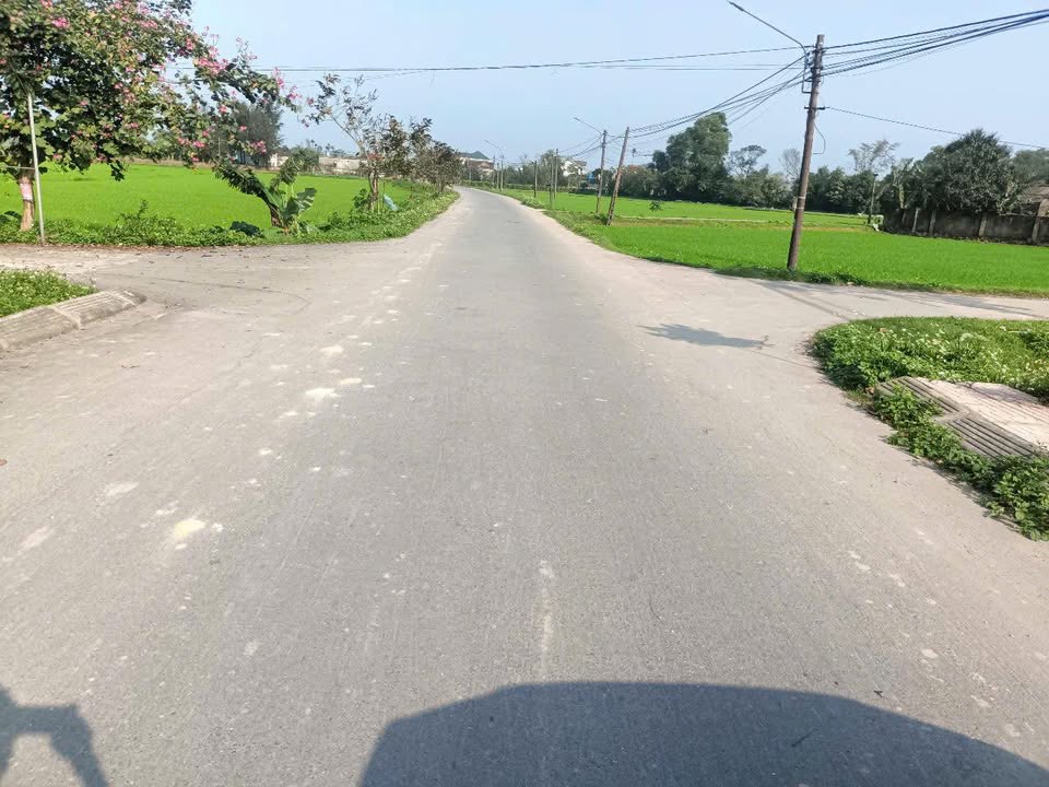 Đất nền thôn Trung Phú, xã Thạch Thắng, 121m² chỉ 1 tỷ - Đầu tư sinh lời ngay!