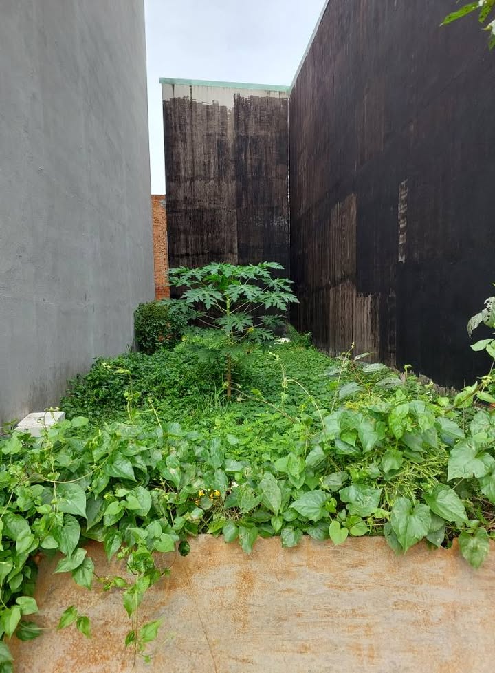 Lô đất 80m² tại Hiệp Bình Phước, Thủ Đức chỉ 5.5 tỷ - Sổ hồng riêng, ô tô vào tận nơi!