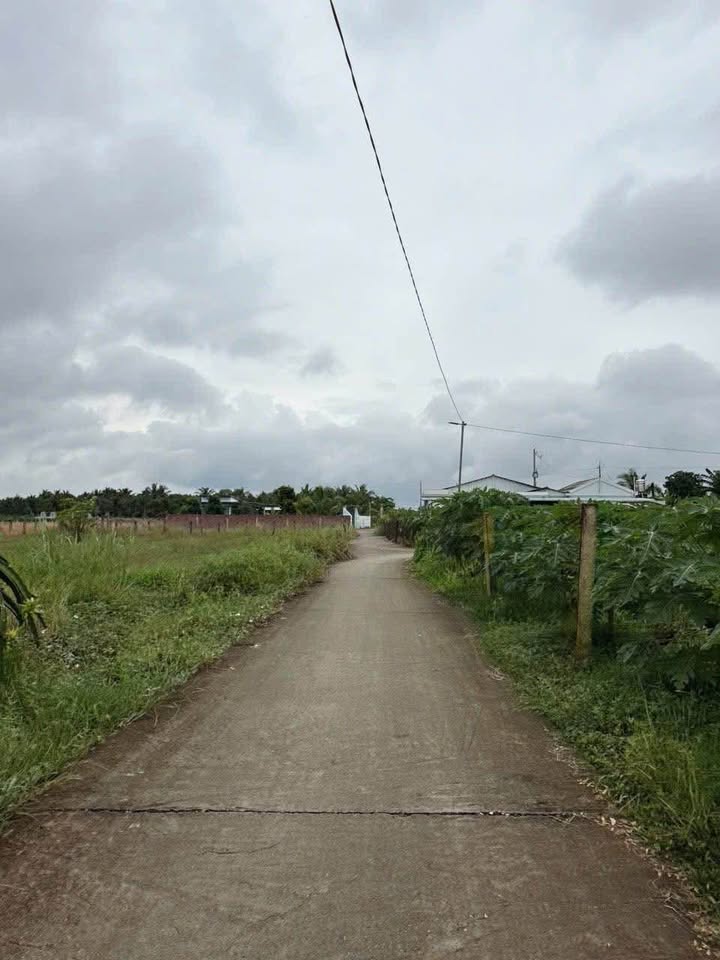 Đất thổ cư 1000m² xã Phước Tân Hưng, Châu Thành, Long An - Đầu tư sinh lời tuyệt vời!