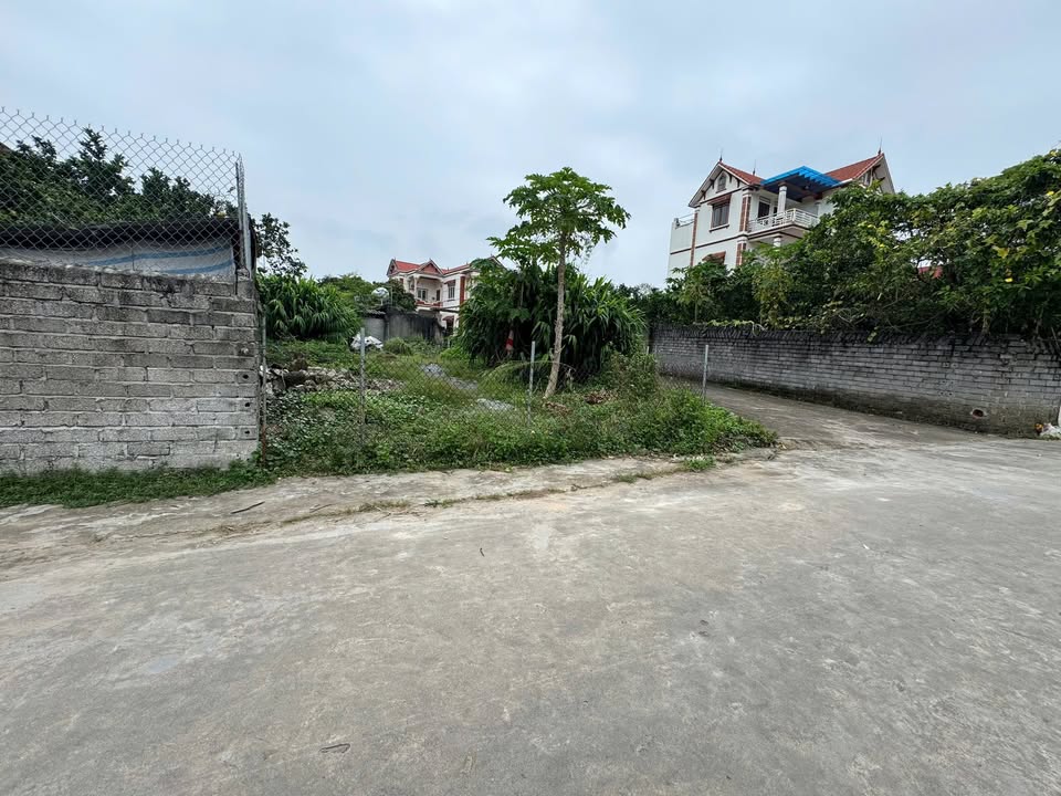 Lô đất thổ cư 125m² tại Lương Phong, Hiệp Hoà - Giá chỉ 700 triệu!