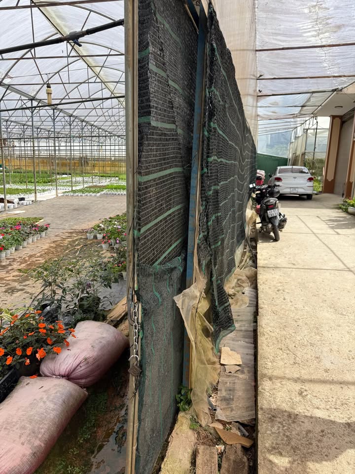 Đất nền Đà Lạt 60m² giá 2.5 tỷ - Sổ phân quyền, xây dựng tự do!