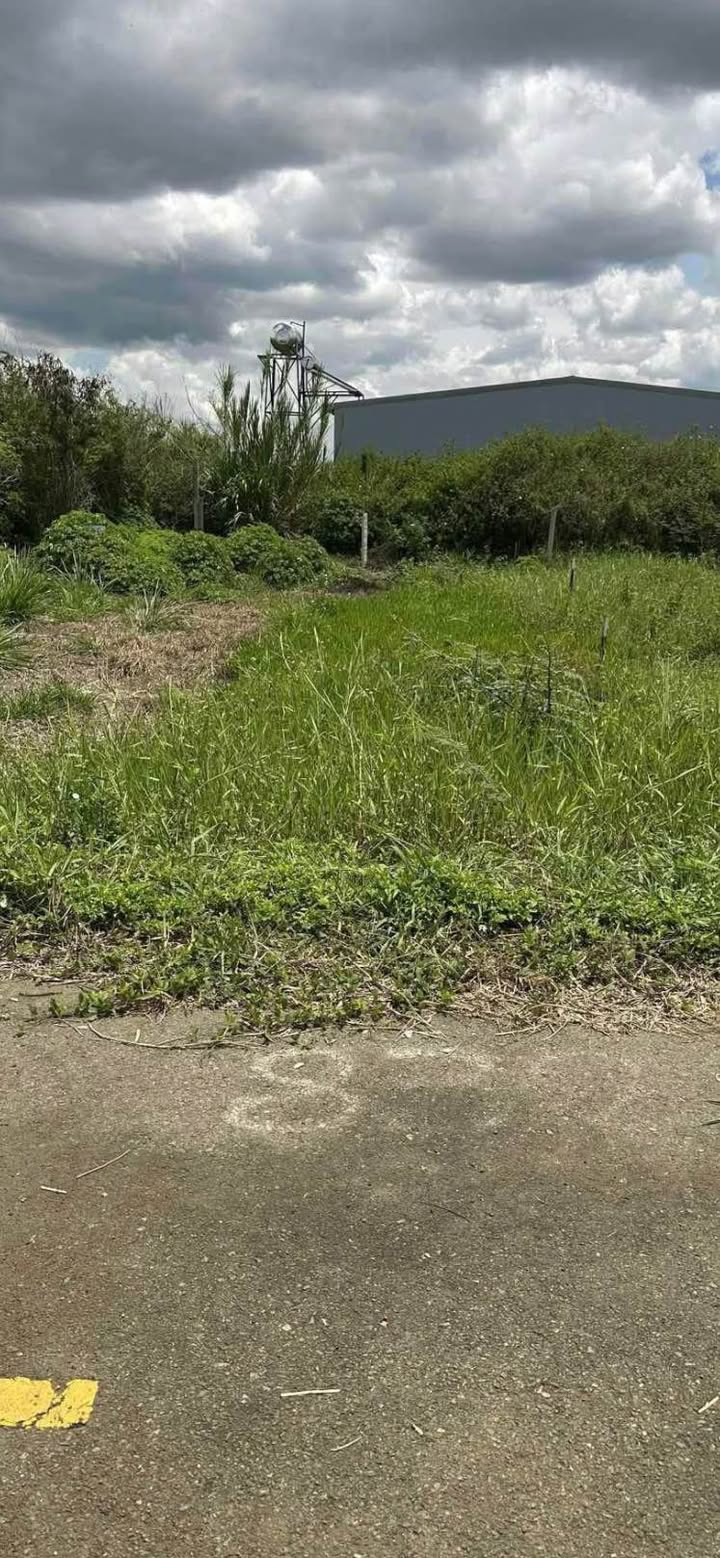 Lô đất nền đường Hàn Thuyên, Đức Trọng 120m² giá 1.18 tỷ - Đầu tư sinh lời ngay!