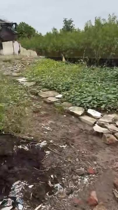 Đất nền Hồng Vân, Thường Tín 50m² giá 2 tỷ - Đường ô tô tránh nhau!