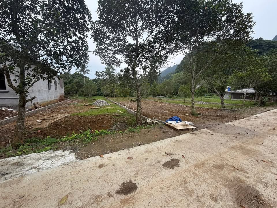 Đất nền tiềm năng tại xóm Á Đồng, Yên Trị, Phú Thọ - 1.300m² chỉ 2.6 tỷ