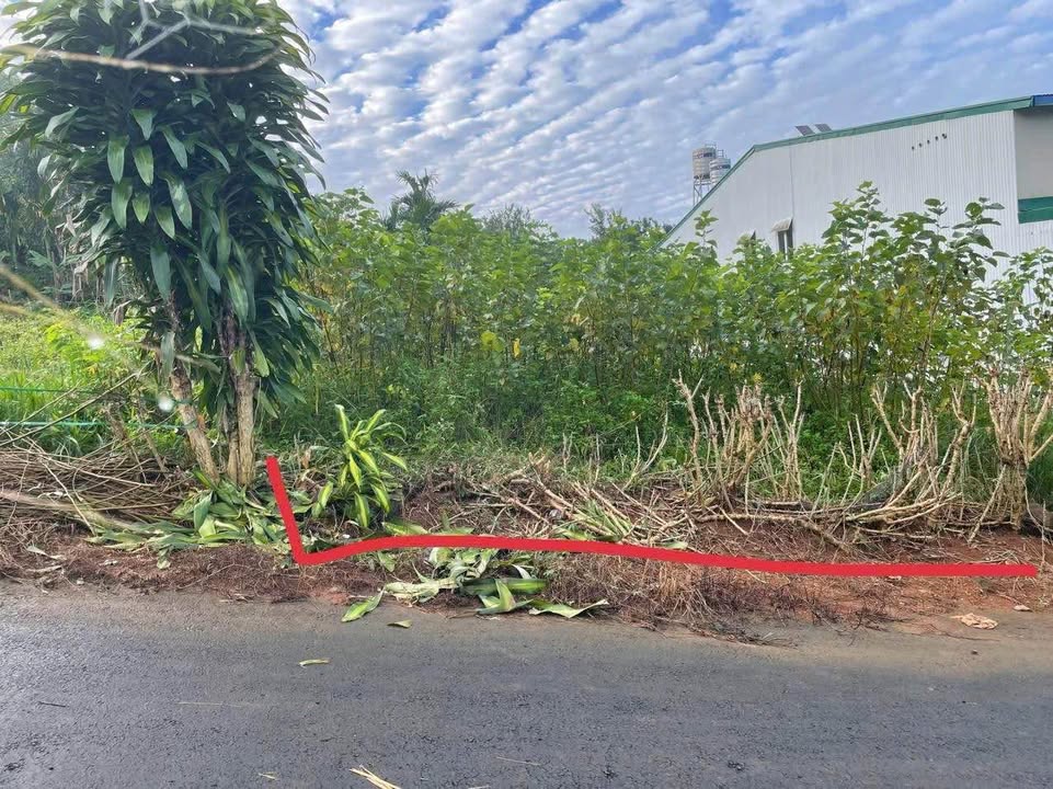 Đất thổ cư hẻm 360 Phan Đình Phùng Bảo Lộc 169m² giá 1.08 tỷ - Cơ hội đầu tư lý tưởng!