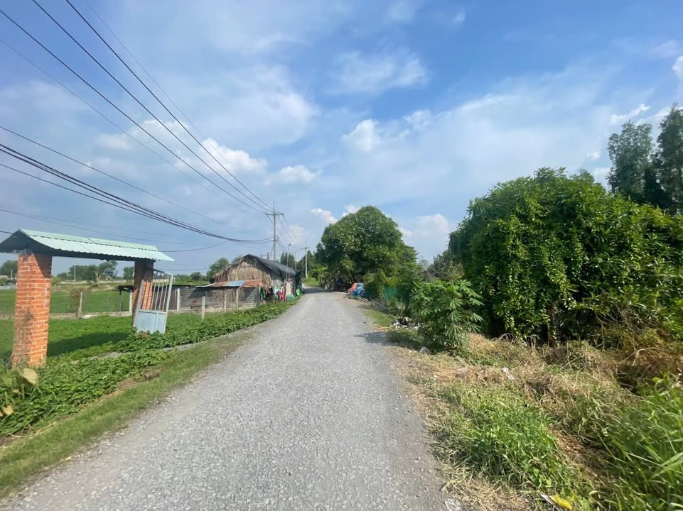 Đất vườn Củ Chi 500m² giá 3.8 tỷ - View thoáng mát, sổ hồng chính chủ!