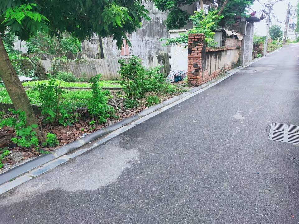 Đất Tiên Dương Đông Anh 50m² giá 4.99 tỷ - Vị trí đẹp, ô tô vào tận đất!