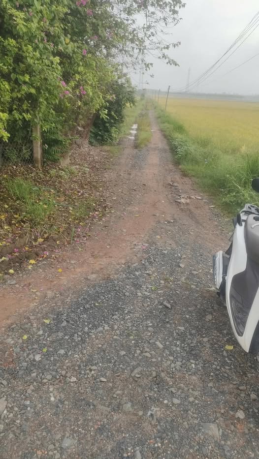 Đất nền Châu Thành Tây Ninh 994m² giá chỉ 200 triệu - Sổ đỏ chính chủ!